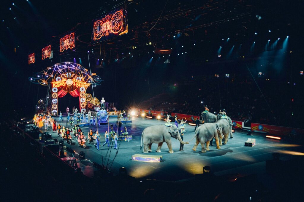Scena artystów cyrkowych i słoni